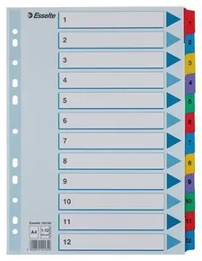 Rejestratory z tektury wzmocnionej Esselte Mylar, A4, Mix kolorów